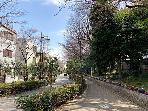 蚕糸の森公園近くの道路の様子