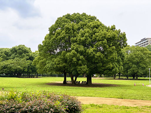 行田公園