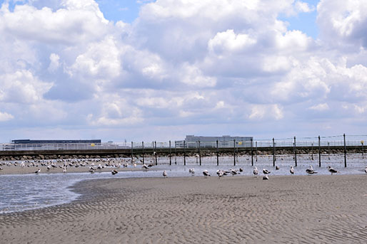 ふなばし三番瀬海浜公園