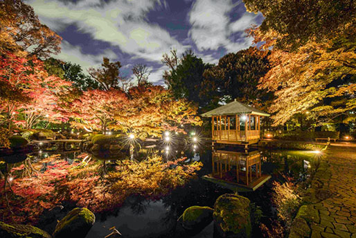 回遊式日本庭園「大田黒公園」