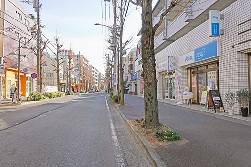 歩道と車道が完全に分離されている