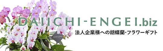法人企業様への胡蝶蘭・フラワーギフト　DAIICHI-ENGEI.biz